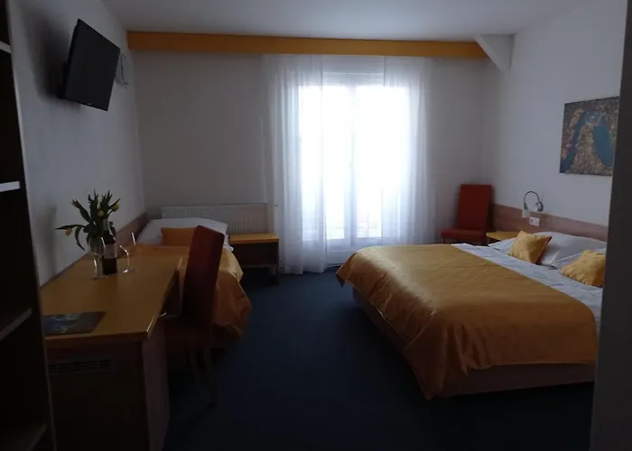 沃拉里克旅馆 招待所 Dolní Dunajovice
